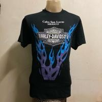 ราคา เสื้อยืด ลายฮาเล่ สไตล์ปี90s (27586674481)