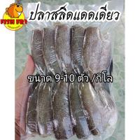 ราคา ปลาสลิดแดดเดียว 1 กิโลกรัม 9-10 ตัว แพ็คสูญญากาศ (21936428624)