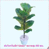 ราคา ต้นไทรใบสักปลอม #ต้นไม้ตกแต่ง #ต้นไม้ปลอม #ต้นไม้ประดิษฐ์ (23065022349)