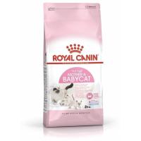 ราคา Royal canin Mother&Babycat 10 Kg (27280208680)