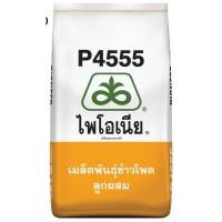 ราคา เมล็ดข้าวโพดไพโอเนีย ใหม่ล่าสุด "พี4555 " (10 กก.) ดีจริง ชัวร์จริง ฝักใหญ่ ฝักเต็ม สีสวย ปรับตัวได้ดี ทนแล้ง ผลผลิตสูง (25819475208)