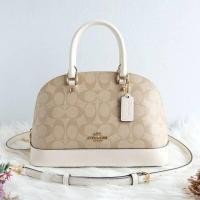 ราคา Coach โดม มินิ (2682963501)