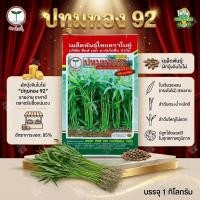 ราคา เมล็ดผักบุ้งจีน ปทุมทอง 92 ขนาด 1 กิโลกรัม (ยกลัง 20 ซอง) อัตราการงอก 85% ผักบุ้งใบไผ่ ผักบุ้งจีน (53458127453)