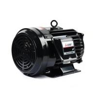ราคา MITSUBISHI มอเตอร์ MITSUBISHI รุ่น SF-JR ชนิดหุ้มมิด กำลัง 3 แรงม้า (2.2 กิโลวัตต์) 3 เฟส 220/380 โวลต์ (M151-0220) (8805525896)