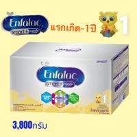 ราคา {นมผง} Enfalac เอนฟาแล็ค สมาร์ทพลัส สูตร1 สำหรับทารก 3,800กรัม เอนฟาแลค สมาร์ท สูตร1 Enfalac smart+ 3,800กรัม (7657650565)