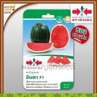 ราคา เมล็ดพันธุ์แตงโม แตงโมอันดา F1 (แบบซอง) เมล็ดแตงโมลูกผสม เมล็ดแตงโมเนื้อแดง เมล็ดพันธุ์ผักสวนครัว ตราศรแดง (25291097949)