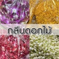 ราคา (ดอกไม้สด) กลีบดอกไม้ - 1KG โปรยงานเชงเม้ง | กลีบดาวเรือง กลีบกุหลาบ ดอกกล้วยไม้ ดอกบานไม่รู้โรย - สีสด สะอาด พร้อมใช้ (42879422392)