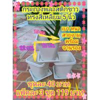 ราคา กระถางพลาสติกขาว ทรงสี่เหลี่ยม แพ็คละ 3 ชุด ขนาด 5 นิ้ว พร้อมจานรอง (กว้าง 12 ซม. สูง 12 ซม. วัดปากเหลี่ยมกว้าง 15 ซม.) (4646166079)