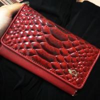 ราคา กระเป๋าCARPISA (596456222)
