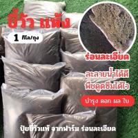 ราคา ขี้วัวละเอียด1กิโล ขี้วัว ปุ๋ยขี้วัว ร่อนละเอียด ขี้วัวปลูกต้นไม้ (26826935500)