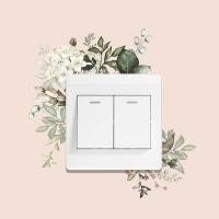 ราคา สติกเกอร์สวิตช์พืชสีเขียวสดห้องนอนห้องนั่งเล่นทางเข้าบ้านที่สวยงามสติกเกอร์ตกแต่งติดผนัง (27955524339)