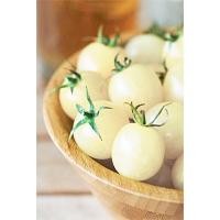 ราคา เมล็ด มะเขือเทศเชอรี่สีขาว - White Cherry Tomato (142953265)