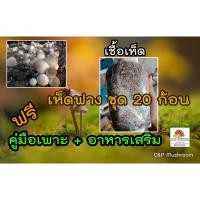 ราคา เชื้อเห็ดฟาง ชุด 20 ก้อน พร้อมอาหารเสริม และวิธีเพาะ (11177077367)