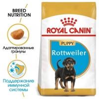 ราคา [หมดอายุ 02/2023]Royal canin rottweiler puppy ขนาด 12 KG โรยัล คานิน อาหารสำหรับลูกสุนัข (22209391264)