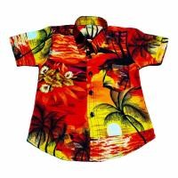 ราคา Kemeja เสื้อไปทะเลเด็ก (16169015235)