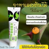 ราคา ยาทาแผลต้นไม้ ป้องกันเชื้อรา ป้องกันกิ่งเน่า กิ่งดำ บอนไซ กุหลาบ แคคตัส ชวนชม ไม้ตัดกิ่ง ไม้ทุกชนิด เป็นฟิล์มเคลือบแผล (17774226382)