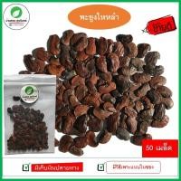 ราคา เมล็ดพันธุ์พะยูงไหหลำ หรือไม้ฮวงหัวลี่ เมล็ดใหม่คัดเมล็ด (50 เมล็ด) (4737181193)