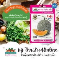ราคา Advance Seeds(ตราตะวันต้นกล้า) Advance Seeds(ตราตะวันต้นกล้า) ADVF1 ซฟ เมล็ดพันธุ์ เมล่อนไดฟุกุ ตราตะวันต้นกล้า H76 (43058340681)