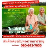 ราคา ใบแปะก๊วยสกัด แปะก๊วยตราวาย-กิง แปะก๊วยวายกิง สินค้าเดียวกับทางรายการวิทยุ 080-923-7836 ต้องของแท้เท่านั้น (26307095009)
