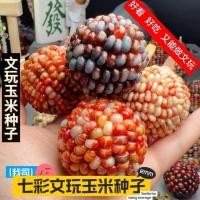 ราคา หยกที่มีสีสันใหม่อัญมณีข้าวโพดยิงเลือดข้าวโพดขนาดเล็กโมรา (50358973333)
