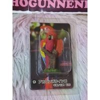ราคา หายาก สวยมาก Kabaya Mysterious Animals Scarlet Macaw Bird นกแก้ว สกาเล็ต มาคอว์ สวย เหมือนจริงมากๆคร้า (26162791910)
