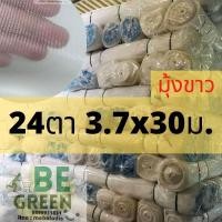 ราคา ตาข่ายกันแมลง 24ตา 30ม. มุ้งขาว ตาข่ายปลูกผัก กันยุง ไนล่อนกันแมลง มุ้งวัว มุ้งกันแมลง คลุมโรงเรือน ผักกางมุ้ง วัว ควาย (28104972550)