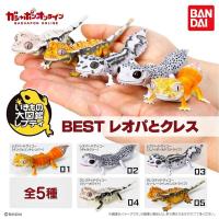 ราคา (เพิ่มครบพร้อมส่ง) กาชาปองตุ๊กแกเสือดาวตาหนาม Gashapon Bandai Ikimono Encyclopedia BEST Leopard Crested Gecko Mini (18484756116)
