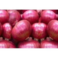 ราคา ขายดี!! Red Onion/หัวหอมแดง 500g - 1kg (44256846366)
