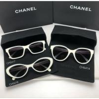 ราคา New Chanel sunglasses 3 รุ่นฮิต แว่นกันแดดกรอบขาว มือ1ของแท้ พร้อมส่ง *ทักมารีเชคสต็อกก่อนกดสั่งนะคะ* (43760840135)
