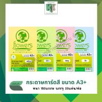 ราคา กระดาษการ์ดสี ทำปกรายงาน กระดาษสี ขนาด A3 (A3 พิเศษ) (180 แกรม 50 แผ่น/แพ็ค) | คลังกระดาษ (7226459219)