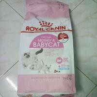 ราคา Royal Canin Mother & Baby Cat 2kg.ลูกแมวและแม่แมว (12958346246)