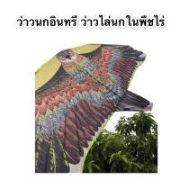 ราคา ว่าว นกอินทรีย์ ขนาดใหญ่ 150 x 60 cm ว่าวไล่นก ว่าวไล่ศัตรูพืช วิ่งว่าว (3681931801)