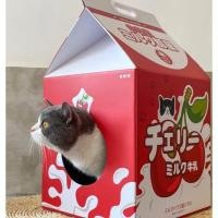 ราคา บ้านแมว บ้านแมวพร้อมที่ลับเล็บ บ้านแมวกระดาษ ที่ลับเล็บแมว ที่นอนแมว ที่ฝนเล็บแมว ของเล่นแมว กล่องลับเล็บแมว (23612812196)