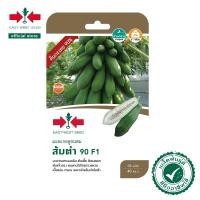 ราคา ศรแดง เมล็ดพันธุ์มะละกอ ส้มตำ 90 F1 (East-West Seed) เมล็ดพันธุ์ผัก เมล็ดพันธุ์ ผักสวนครัว ตราศรแดง (16378175670)