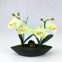 ราคา OrientalFineArt ดอกไม้แต่งบ้านน่ารักๆ กล้วยไม้ประดิษฐ์แต่งในกระถางทรงเรือ แต่งด้วยขอนไม้และมอสเทียม (3370906379)
