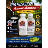 ราคา น้ำยางทำกบยาง น้ำยางพาราใช้ทำกบยาง น้ำยางมี2แบบ น้ำยางขาว กับ น้ำยางใส ขนาด 250 ml พร้อมส่ง (29892576597)