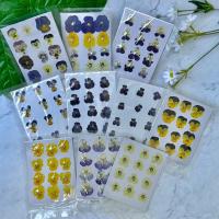 ราคา 【พร้อมส่ง】ดอกแพนซี่ แพนซี่ทับ ดอกไม้จริงทับแห้ง ดอกไม้ทับแห้ง Pressed Flowers (9393777702)