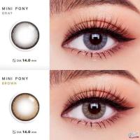 ราคา คอนแทคเลนส์ รุ่น Mini Pony สีเทา/ตาล Gray/Brown มีสายตาปกติ (0.00) เปลี่ยนแทนทุกเดือน (23680473323)