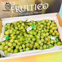 ราคา ส่งฟรี‼️สินค้าเข้าใหม่ 25/4/69‼️ Autumn crisp Grape องุ่นเขียวไร้เมล็ดนำเข้าจากประเทศออสเตรเลีย/อเมริกา✈️ (47506943645)