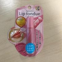 ราคา Mentholatum Lip Fondue Coral Pink (2699388584)