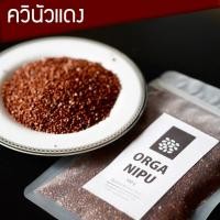 ราคา ควินัวแดง โบลิเวีย ( พรีเมียมเกรดเมล็ดใหญ่กว่า ) Royal Red Organic Bolivian Quinoa (1778018080)