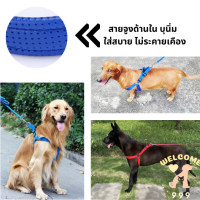 ราคา สายจูง สายจูงรัดอก สุนัข หมา เชือกจูง สุนัขใหญ่ หมาใหญ่ สุนัขพันธุ์ใหญ่ ปอม ไซบีเรียน โกลเด้น ใช้คูกับ กรรไกรตัดเล็บ (5663830127)