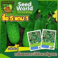 ราคา เมล็ดพันธุ์แตงกวาไร้ค้าง พันธุ์ลูกดก แบ่งขาย 100เมล็ด เมล็ดพันธุ์แตงกวา เมล็ดผักสวนครัว ปลูกง่าย ให้ผลผลิตสูง (22732542545)