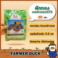 ราคา ฟักทอง ลายข้าวตอก 573 ( ส่งฟรี ) F1 เมล็ดพันธุ์ ฟักทอง ข้าวตอก ลูกผสม ตราศรแดง บรรจุ 20/100 กรัม (24312786875)