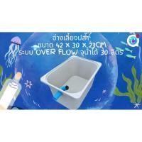 ราคา อ่างเลี้ยงปลาสีขาว อ่างเทาท่อฟ้า ขนาด 42x30x23 CMระบบover flow เลี้ยงปลาสวยงาม อ่างเลี้ยงปลา อ่างปลาบอลลูน อ่างปลาเมดา (47203977492)