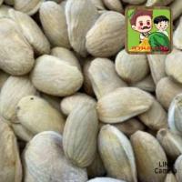 ราคา เม็ดพันธุ์มะม่วงกะล่อน เม็ดพันธุ์มะมะม่วงกะสอ เม็ดพันธุ์มะม่วงพื้นบ้านหายาก ชุดล่ะ 10 เม็ด (21379288248)
