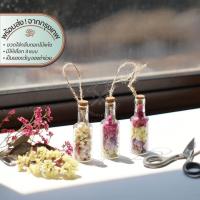 ราคา Pixie Bottle ขวดแก้วจิ๋วใส่กลีบดอกไม้แห้ง | อบ แห้ง ต้นไม้ ดอกไม้ ใบไม้ ไม้เลื้อย ไม้ประดับ กิ่ง แจกัน ชำร่วย ของขวัญ (26877760902)