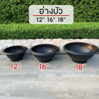 ราคา กระถางชวนชม อ่างบัวพลาสติก ขนาด 12" 16" 18" (49208393791)
