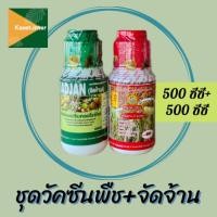 ราคา วัคซีนพืช+จัดจ้าน ฮอร์โมนพืชช่วยเสริมสร้างคลอโรฟิลเสริมฤทธิ์ของปุ๋ยและยาใช้แล้วต้นแข็งใบตั้งรากยาวสร้างภูมิคุ้มกันให้พืช (10283829922)