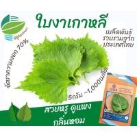 ราคา เมล็ด​พันธุ์​ ใบงาเกาหลี เขียวชิโสะ (Shiso)​ (16221002403)
